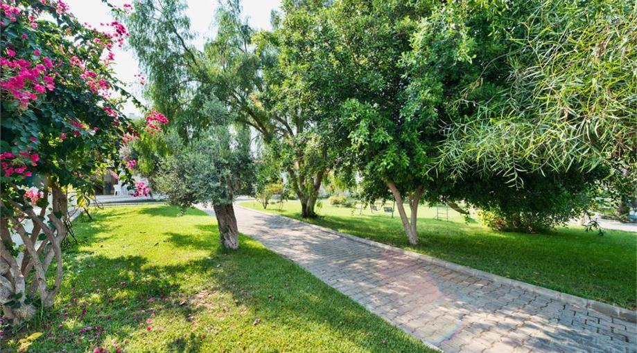 Bare Hill Holiday Apartments Krini Екстериор снимка
